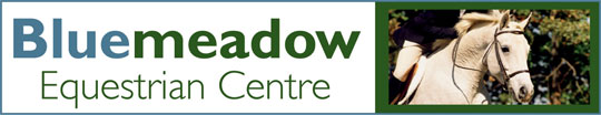 Bluemeadow Equestrian Centre Cummer Tuam County Galway - horse riding, trekking, tack shop